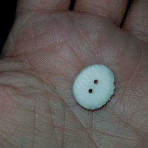 Knapper av reinhorn - upusset